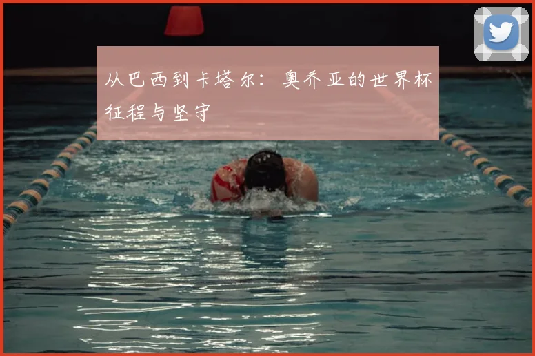 从巴西到卡塔尔：奥乔亚的世界杯征程与坚守