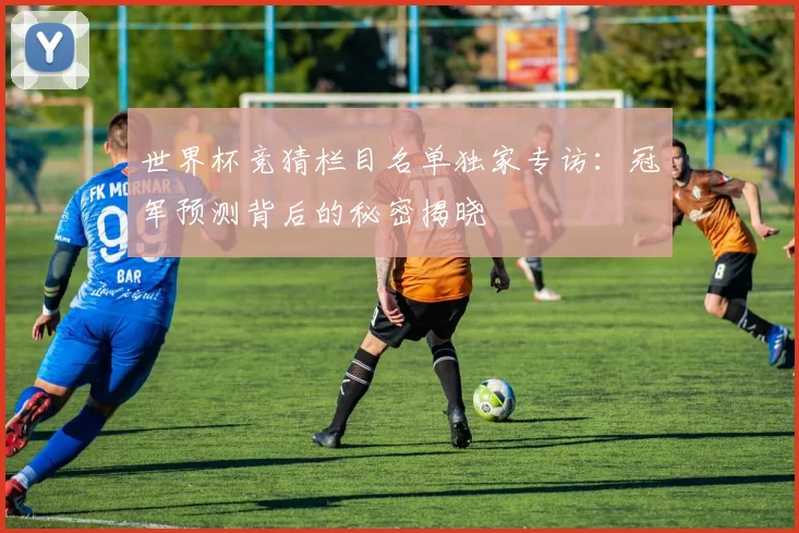 世界杯竞猜栏目名单独家专访:冠军预测背后的秘密揭晓