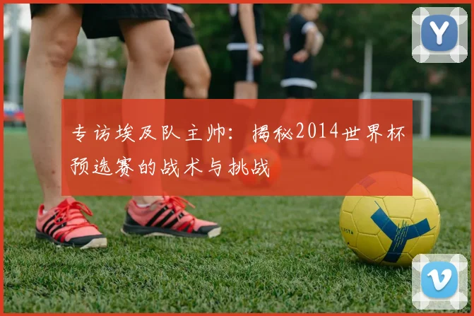 专访埃及队主帅：揭秘2014世界杯预选赛的战术与挑战
