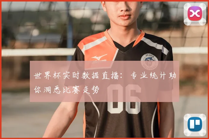 世界杯实时数据直播：专业统计助你洞悉比赛走势