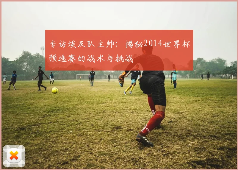 专访埃及队主帅：揭秘2014世界杯预选赛的战术与挑战